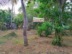 ඉඩමක් විකිණීමට ඇත Pambala,Kakkapalliya