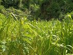 ඉඩමක් විකිණීමට ඇත තෙලිජ්ජවිල.