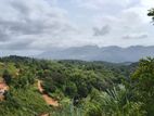 ඉඩමක් විකිණීමට – දොළුව, මහනුවර