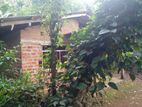 House with Land for Sale in Hali Ala