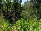 ඉඩමක් විකිණීමට හිගුරුගමුව