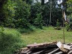 ඉඩමක් විකිණීමට Biyagama