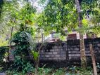 Land for Sale in Gampaha