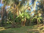 ඉඩමක් විකිණීමට කුරුණෑගල