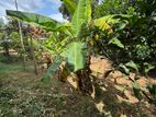 ඉඩමක් විකිණීමට කෙන්ගල්ල දිගන