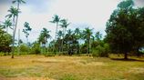 ඉඩමක් විකිණීමට ,පන්නල