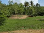 Sea View 655 Perch Commercial Land for Sale in Tangalle