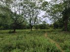 Land for Sale - Ampara