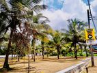 Ideal Land for Sale in Homagama
