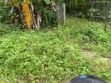 Land for Sale Kalutara