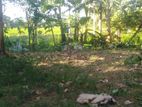 Ideal Residential Land For Sale In Polonnaruwa