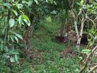 Land for Sale in Warakapitiya
