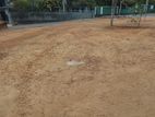 Idigaha Road Panadura Walana Valuable land for sale
