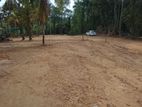 Idigaha Road Panadura Walana Valuable land for sale