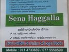 IELTS, TOEFL, SAT, GRE, GMAT individual teaching
