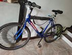 Ignite Bicycle