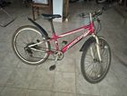 Ignitor Bicycle