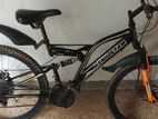 Mountain Bicycle