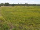 Thelulla Land for Sale