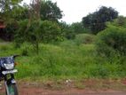 Land for Sale - Chilaw