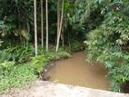 Land for Sale Buttala