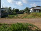 Land for Sale in Ja Ela