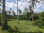 Land for Sale in Horana