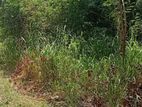 Land for Sale - වෙහෙරයාය