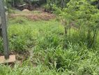 Land for Sale - Mahaoya