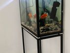 Fish Tank