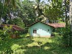 ඉක්මනින් විකිණීමට