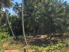 ඉඩම විකිණීමට මාවතගම