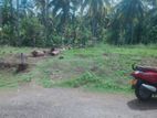 Land for Sale Wadduwa