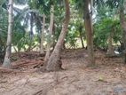 ஏறாவூர் விற்பனைக்கு