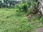 Imbulgoda Nagahakotuwa best land for sale