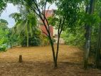 Imbulgoda Nagahakotuwa quality land for sale