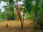 Imbulgoda Nagahakotuwa Road Land for Sale