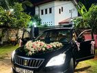 Luxury Wedding Cars