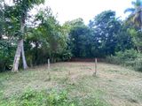Land for Sale Kotchchikade