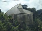 Green House
