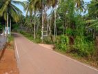 Immediately Sale Valuable land In Delgoda