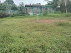 Immediately Sale Valuable Land Kottawa