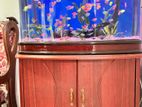 3Ft Fish Tank With Accessories