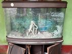 Import fish tank