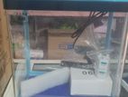 Import Fish Tanks