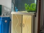Fish Tank with Accessories