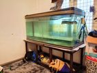 Fish Tank Set with