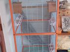 Bird Cage