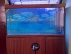 Imported Fish Tank 5 Ft