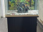 Imported Fish Tank